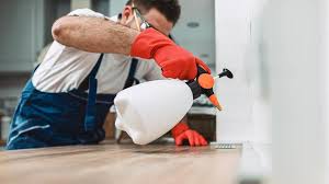 Real Estate Pest Inspections in Brownsboro, TX